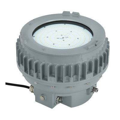 20-200W Explosion Proof Flood Light Fixtures Seri 2200k-7000k S Untuk Minyak Dan Gas