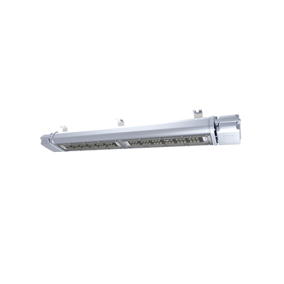 ATEX 20-80W Explosion Proof Lampu LED Industri Kimia IP66