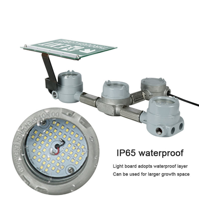 3-6W Explosion Proof LED Exit Emergency Light Chemical Industry IP66 SPBU Tahan Air