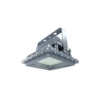 Led Explosion Proof Industrial Light IP66 Waterproof Ik10 Aluminium Housing Stainless Steel Mounting Bracket D SERIES