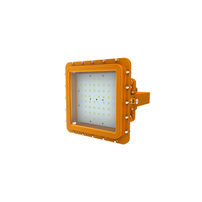 Led Explosion Proof Industrial Light IP66 Waterproof Ik10 Aluminium Housing Stainless Steel Mounting Bracket D SERIES