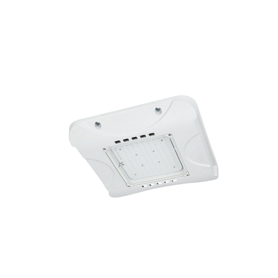 80W Explosion Proof LED Canopy Lighting Perumahan Aluminium IP66