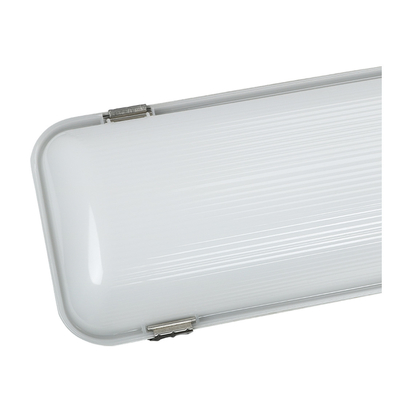 CE SAA 600mm LED Vapor Ketat Light Tri-Proof LED Lampu Darurat Reng