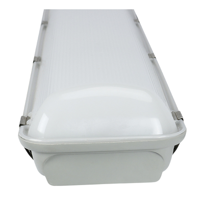 CE SAA 600mm LED Vapor Ketat Light Tri-Proof LED Lampu Darurat Reng